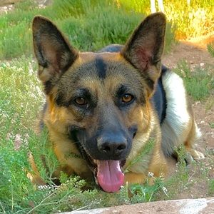 Meet your Posher, Myra